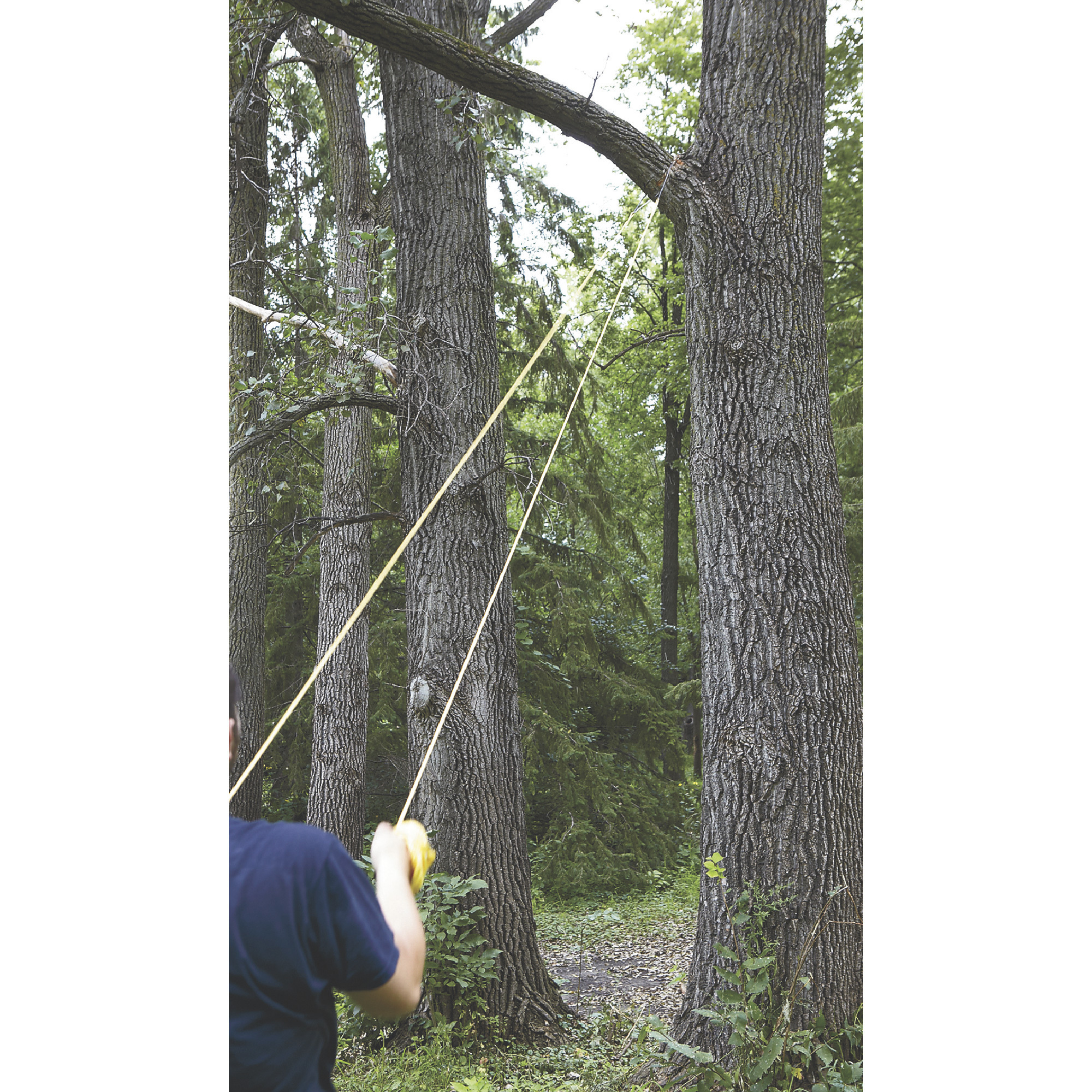 Professional High-Limb Rope Chainsaw, 48in., Model# CS-48